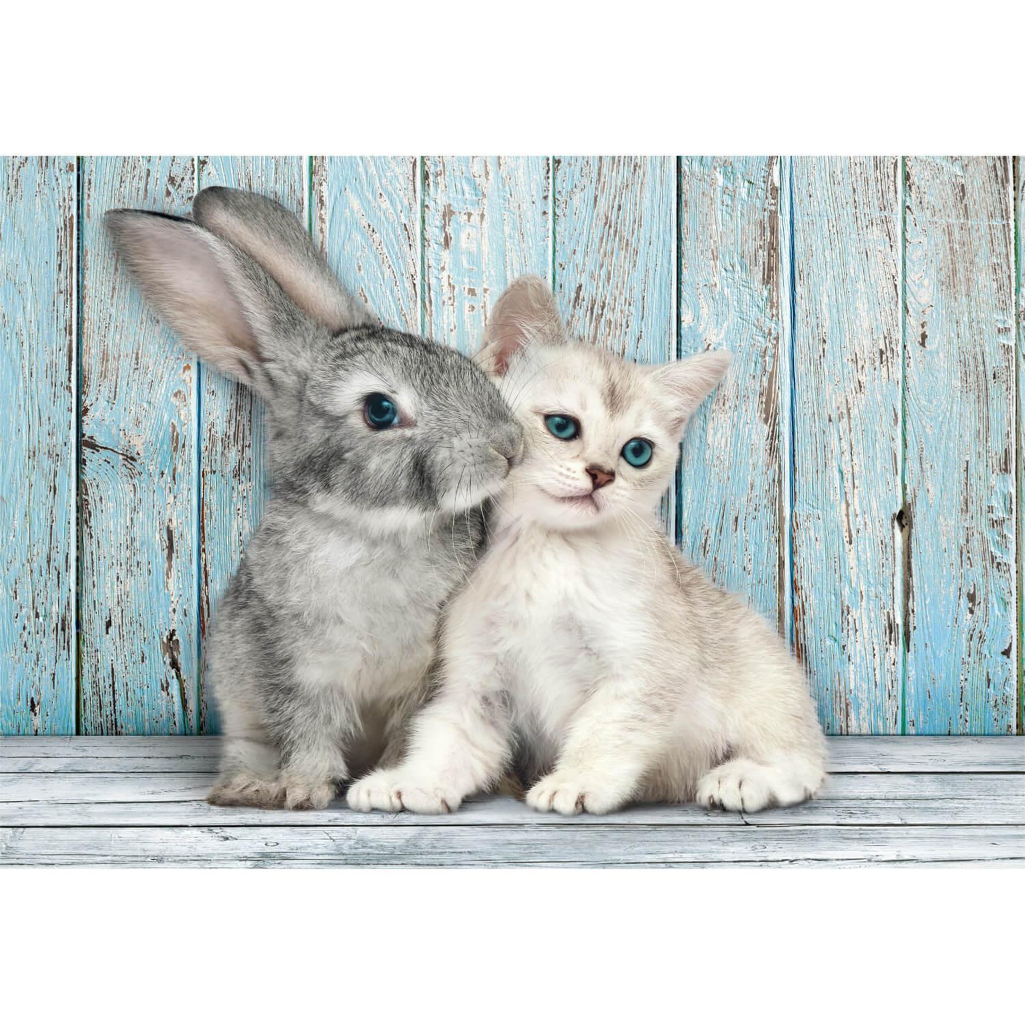CLEMENTONI Puzzle 500 pièces + poster : Chat et Lapin