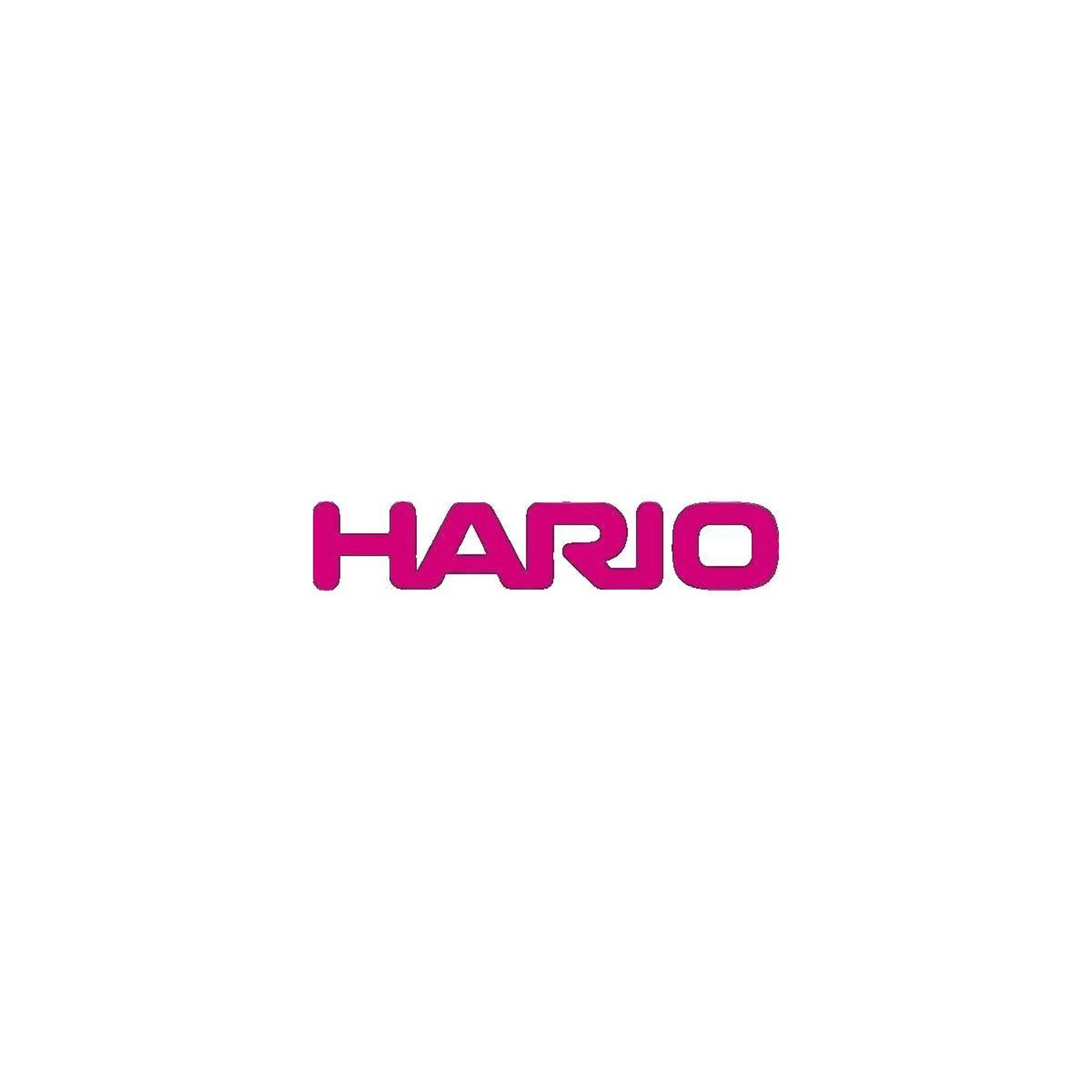 Voir la diapositive 2 : HARIO Bouilloire Hario Acier inoxydable