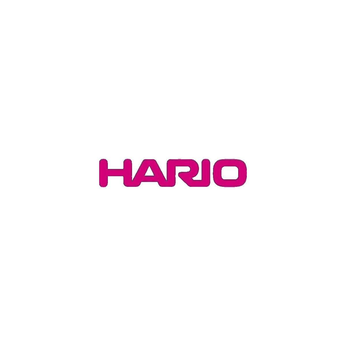 HARIO Bouilloire Hario Acier inoxydable