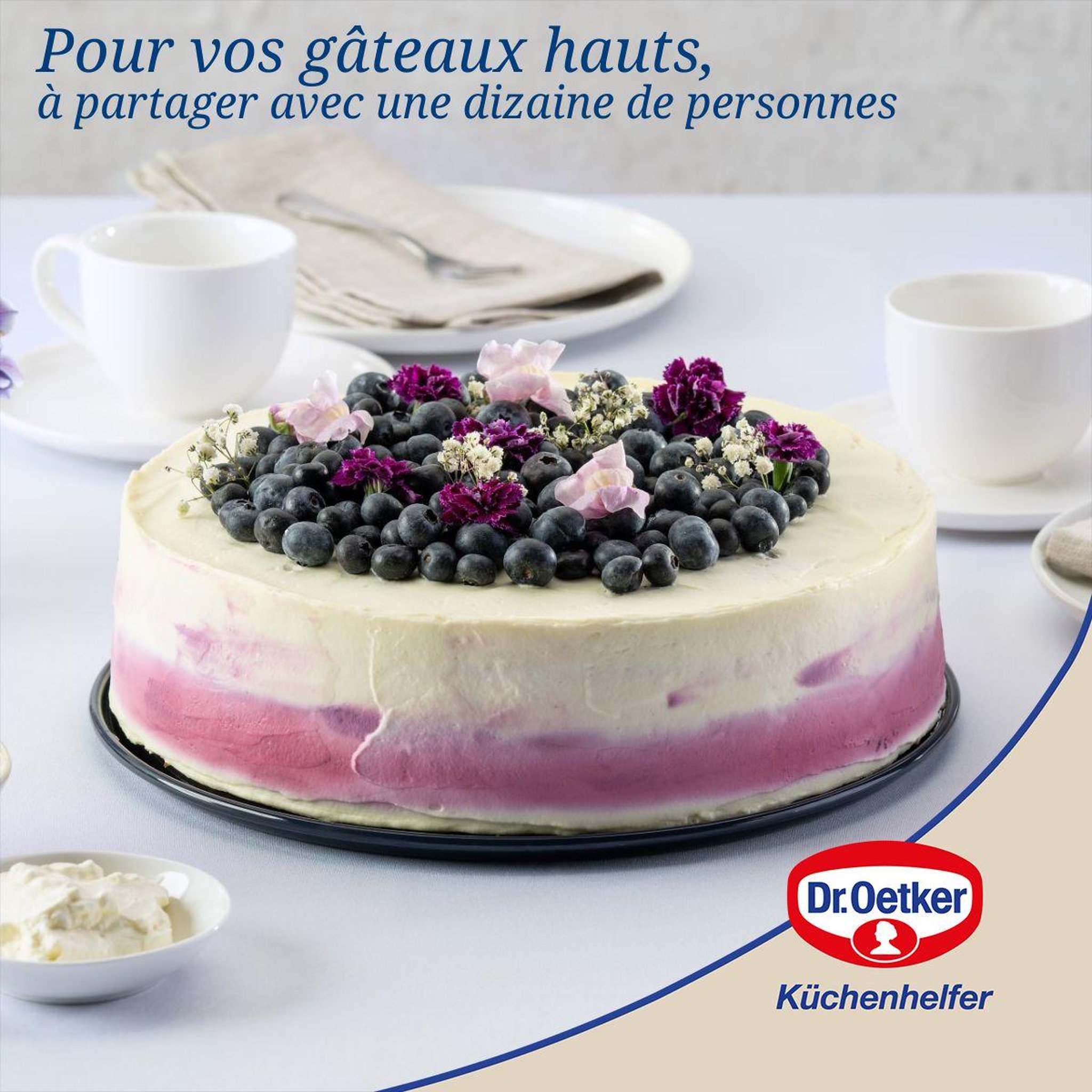 Voir la diapositive 4 : DR.OETKER Moule à manqué à charnière 26 cm dr.oetker back liebe