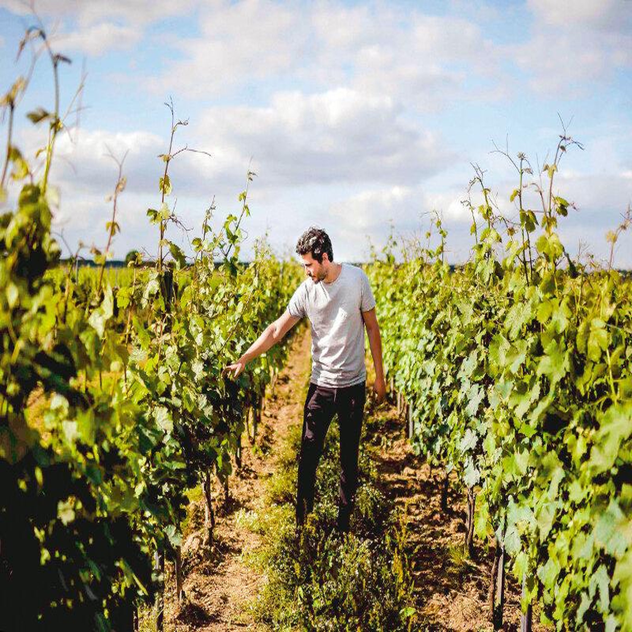 Voir la diapositive 2 : Smartbox Visite, dégustation et accord mets-vins en duo aux portes de paris - coffret cadeau gastronomie