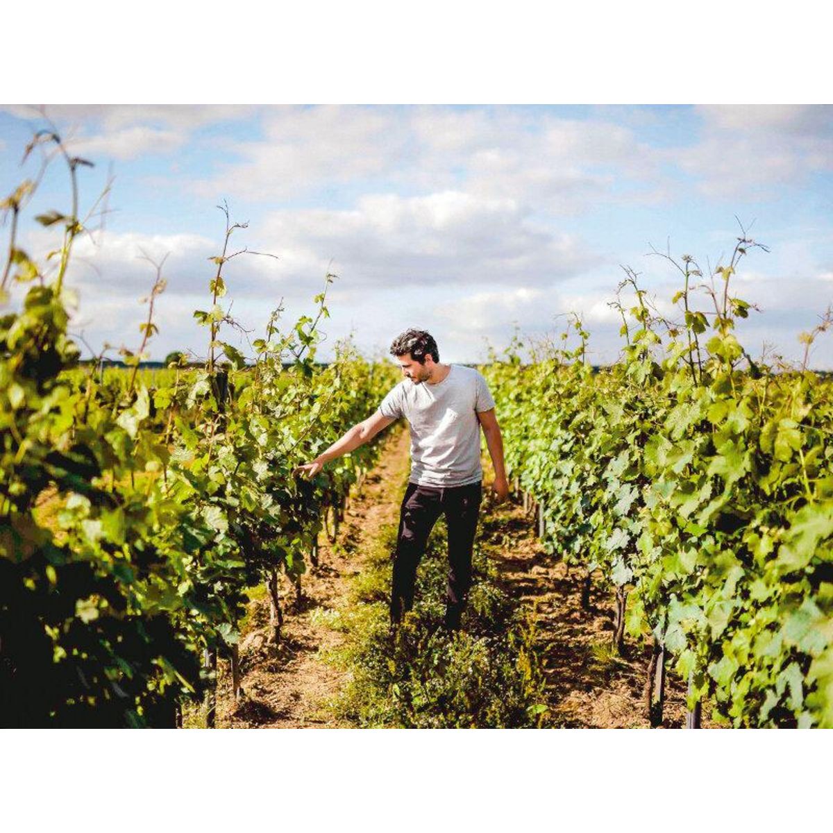 Smartbox Visite, dégustation et accord mets-vins en duo aux portes de Paris - Coffret Cadeau Gastronomie