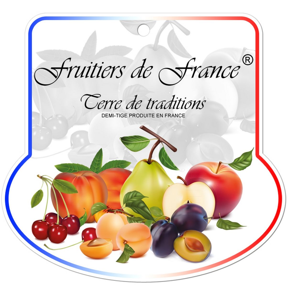 Pommier reine des reinettes