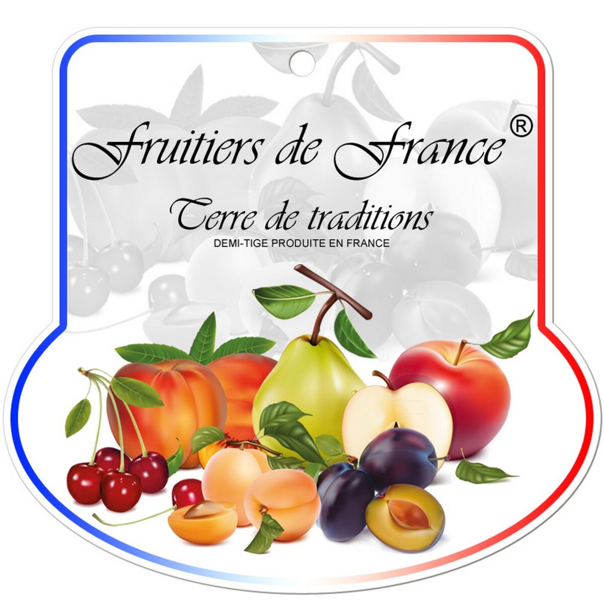 Pommier reine des reinettes