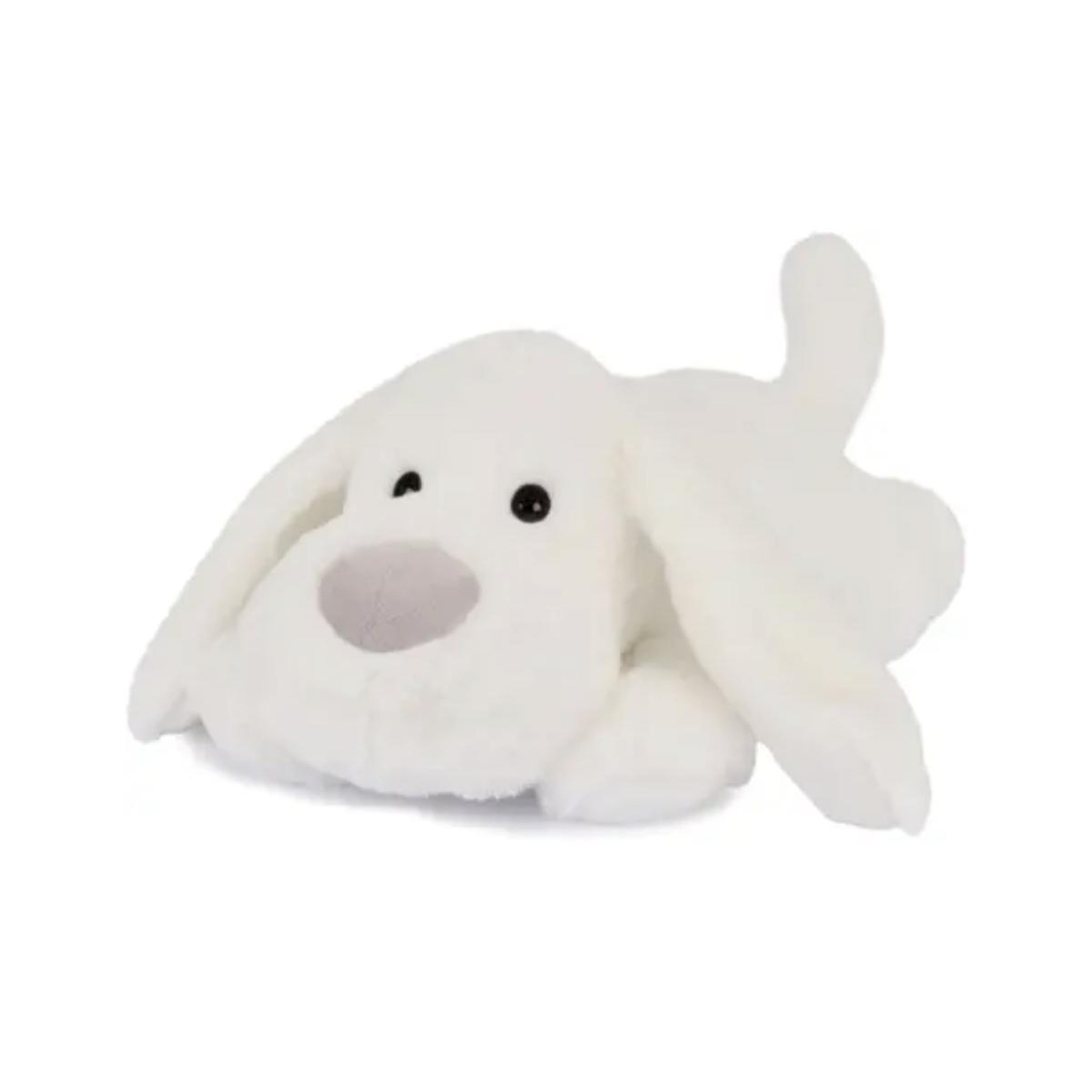 Histoire D'Ours Chien blanc - les allongés