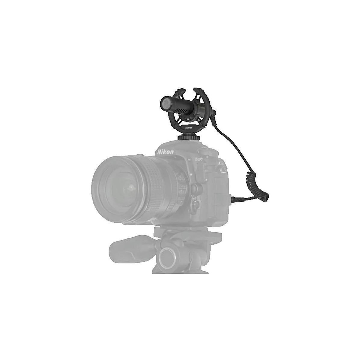 Miro Microphone Mirfak Modèle doré short shotgun cardioïde