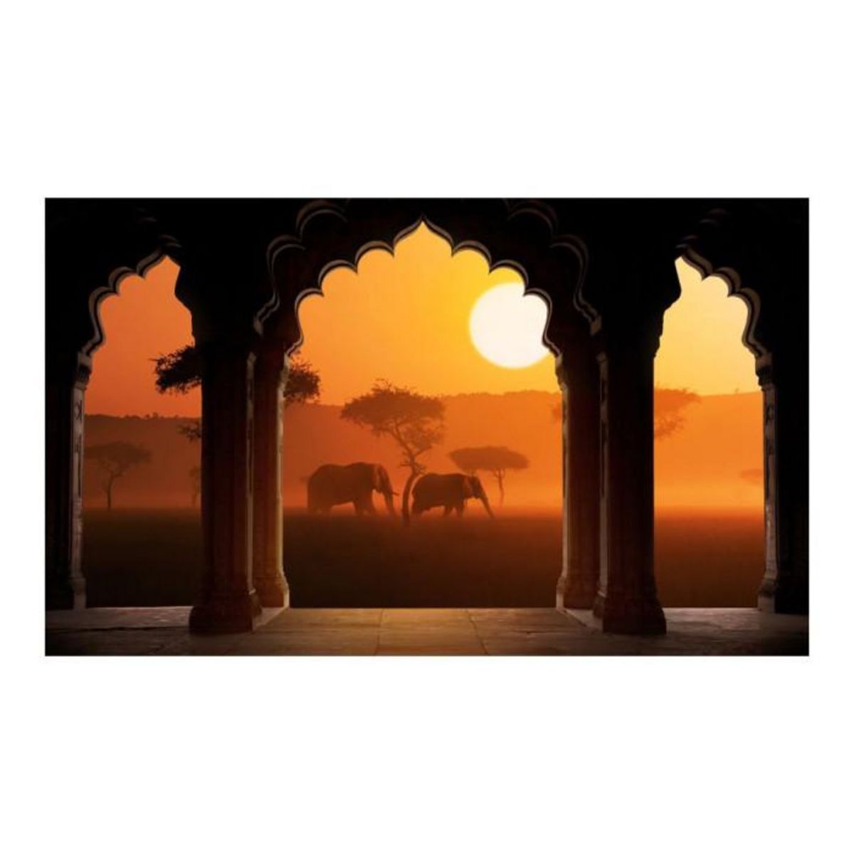 Paris Prix Papier Peint  Hear Africa II  450x270cm