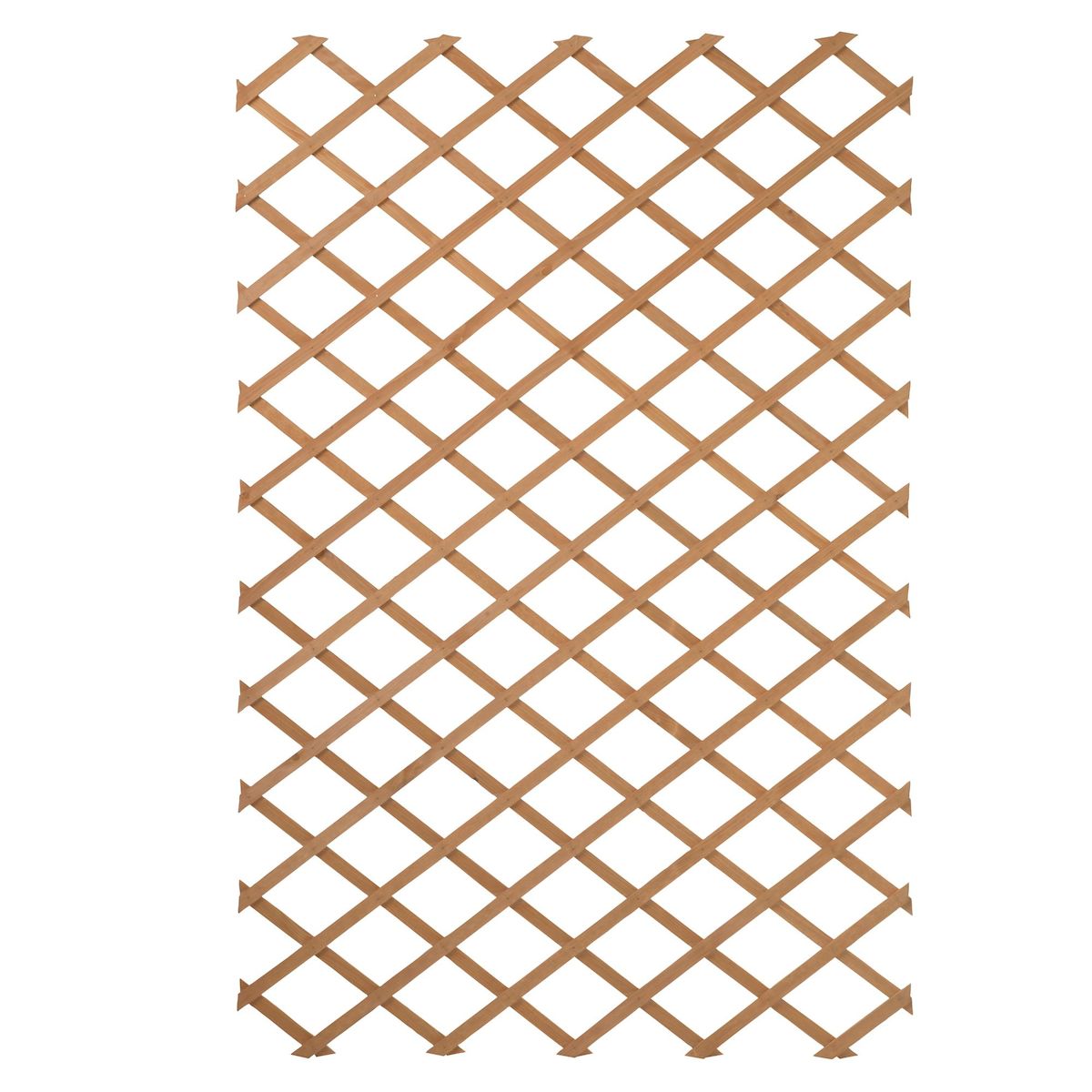 Treillis extensible en bois naturel 100x200 cm
