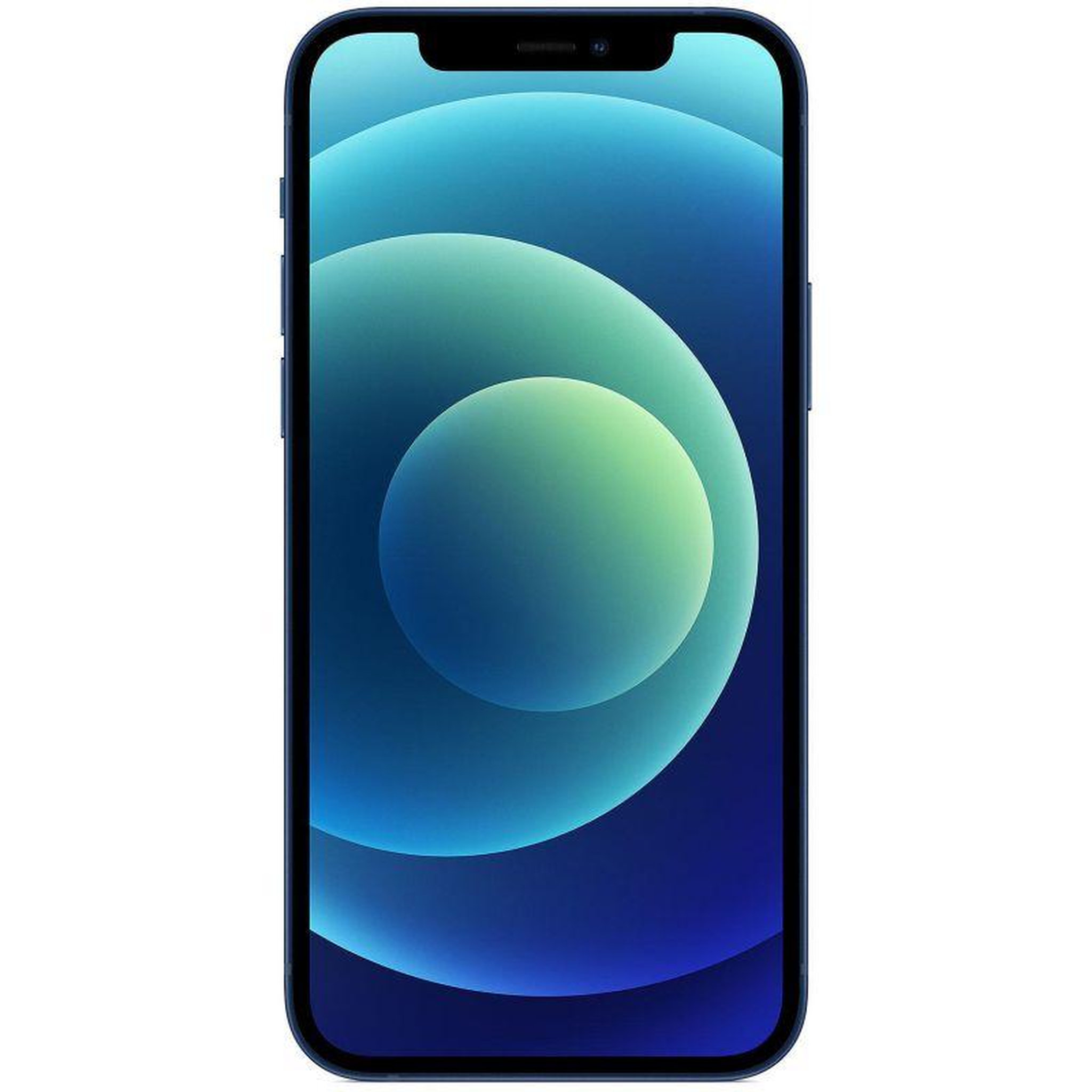 APPLE iPhone 12 reconditionné 64 Go - Grade B - Bleu