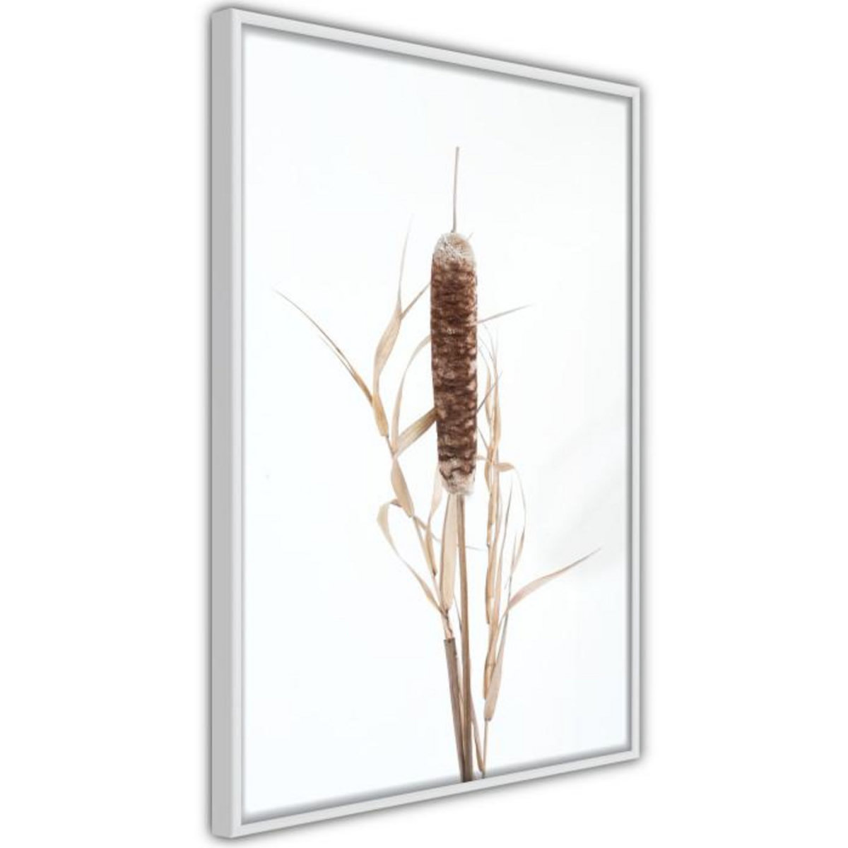 Paris Prix Affiche Murale Encadrée  Typha