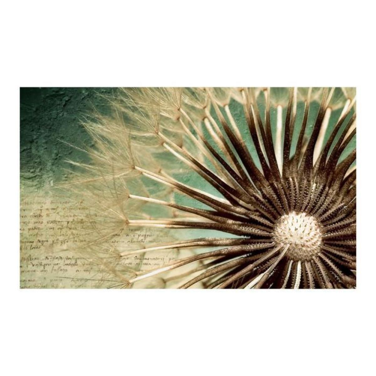 Paris Prix Papier Peint  Story of the Summer  270x450cm