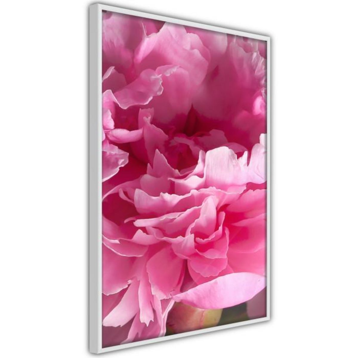 Paris Prix Affiche Murale Encadrée  Magenta Madness