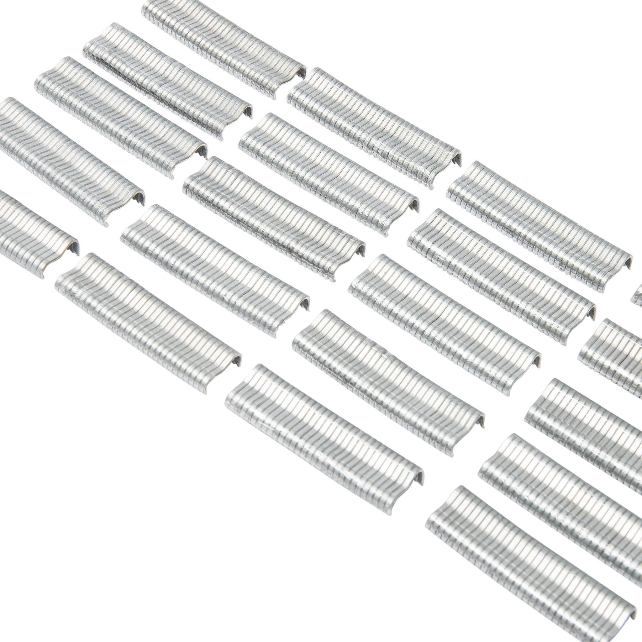WERKAPRO Agrafes galvanisés  600pcs  werka pro