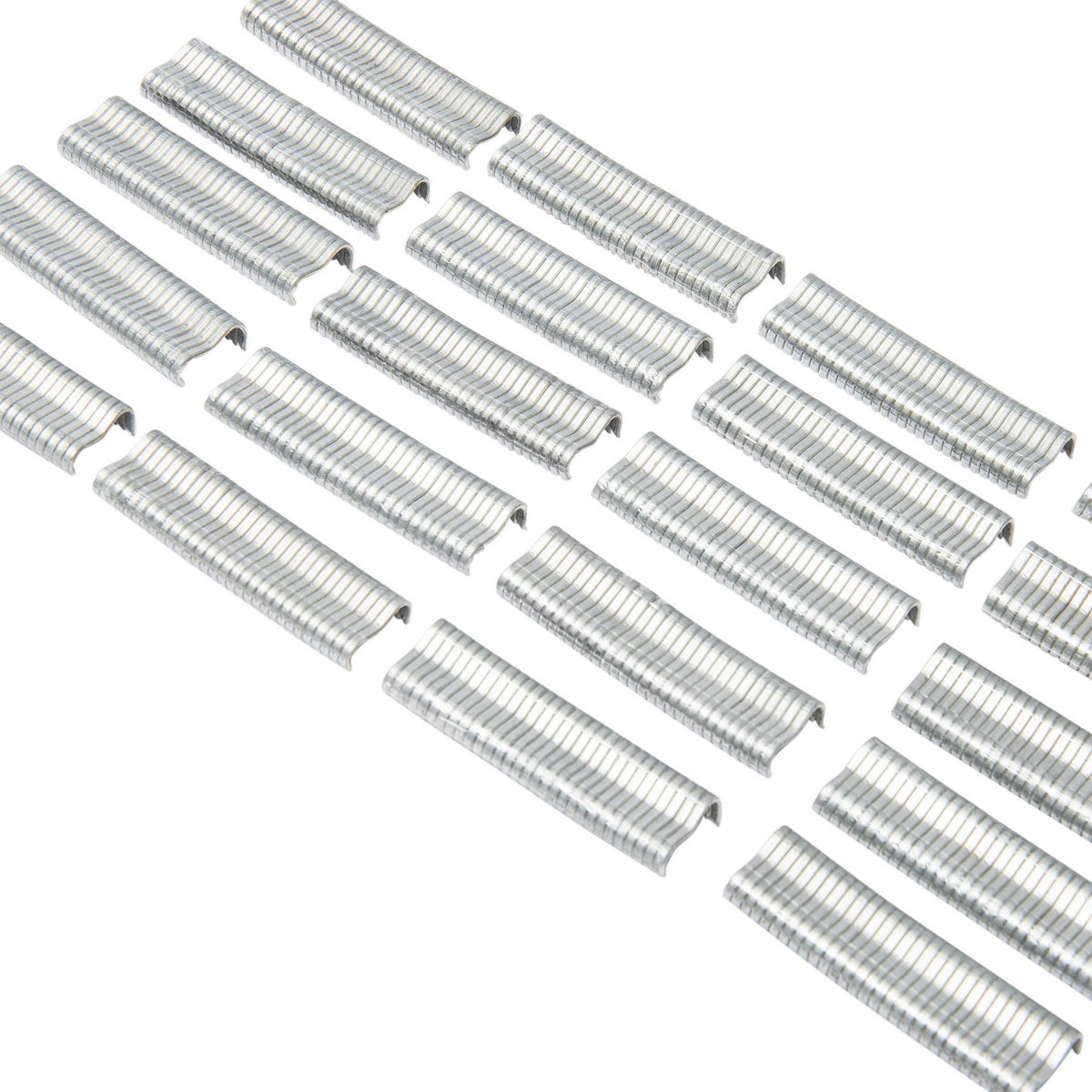 WERKAPRO Agrafes galvanisés  600pcs  Werka Pro