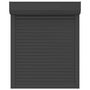 Voir la diapositive 4 : VIDAXL Volet roulant aluminium 80x100 cm anthracite