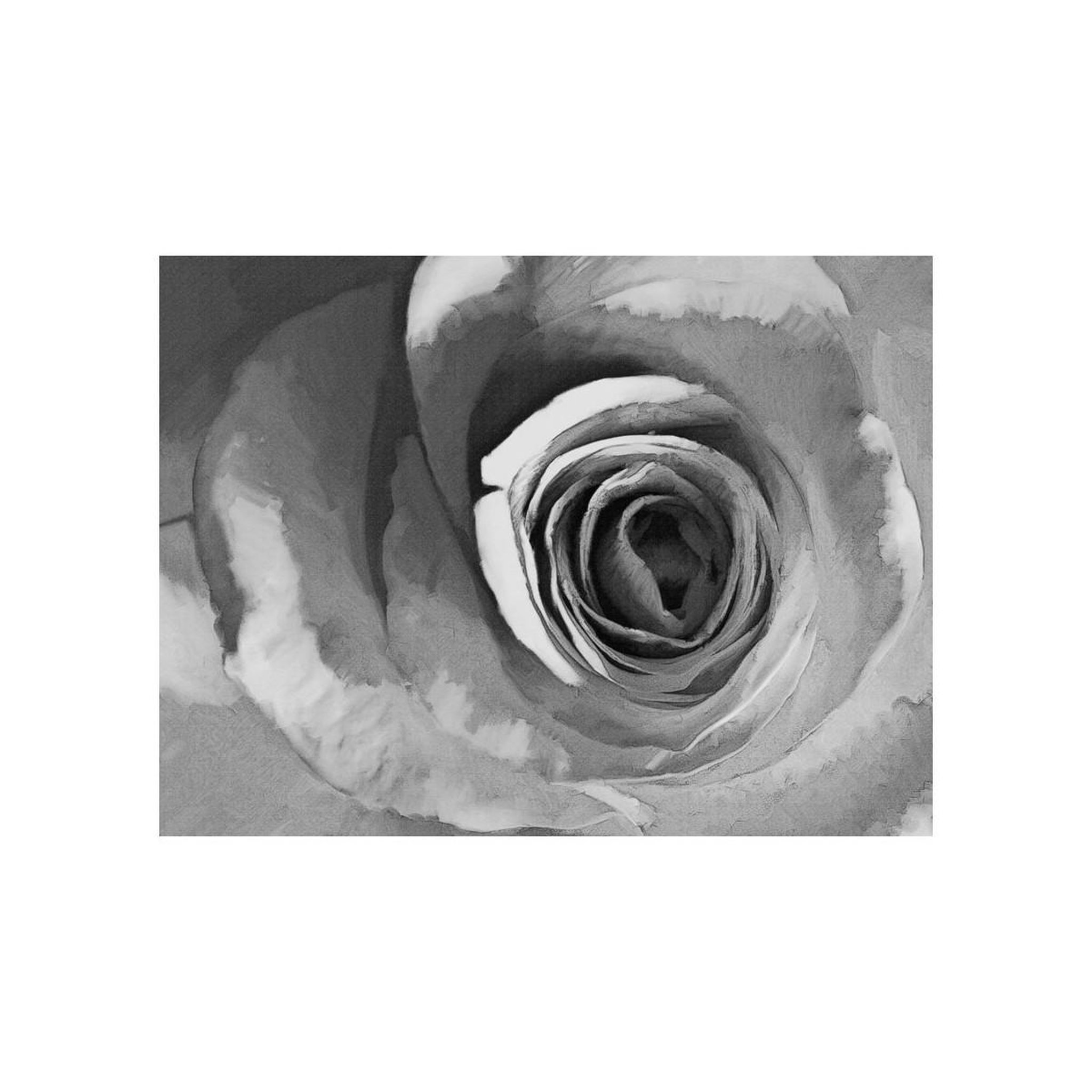 Voir la diapositive 2 : Paris Prix Papier peint  paper rose