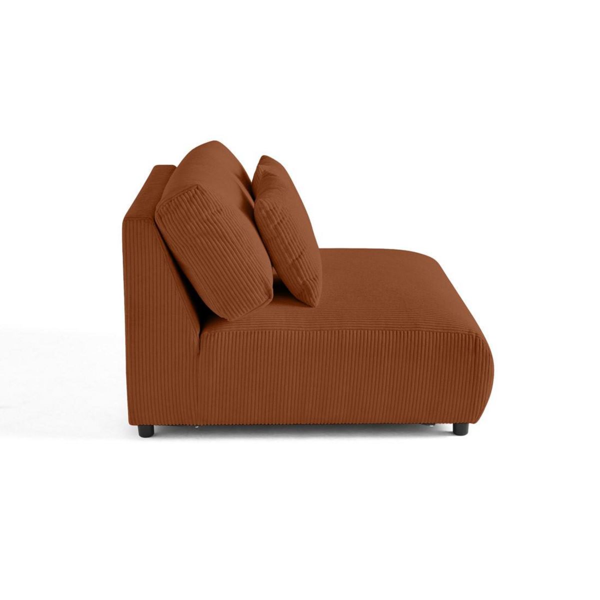 LISA DESIGN Garance - module d'assise 2 places sans accoudoirs - en velours côtelé