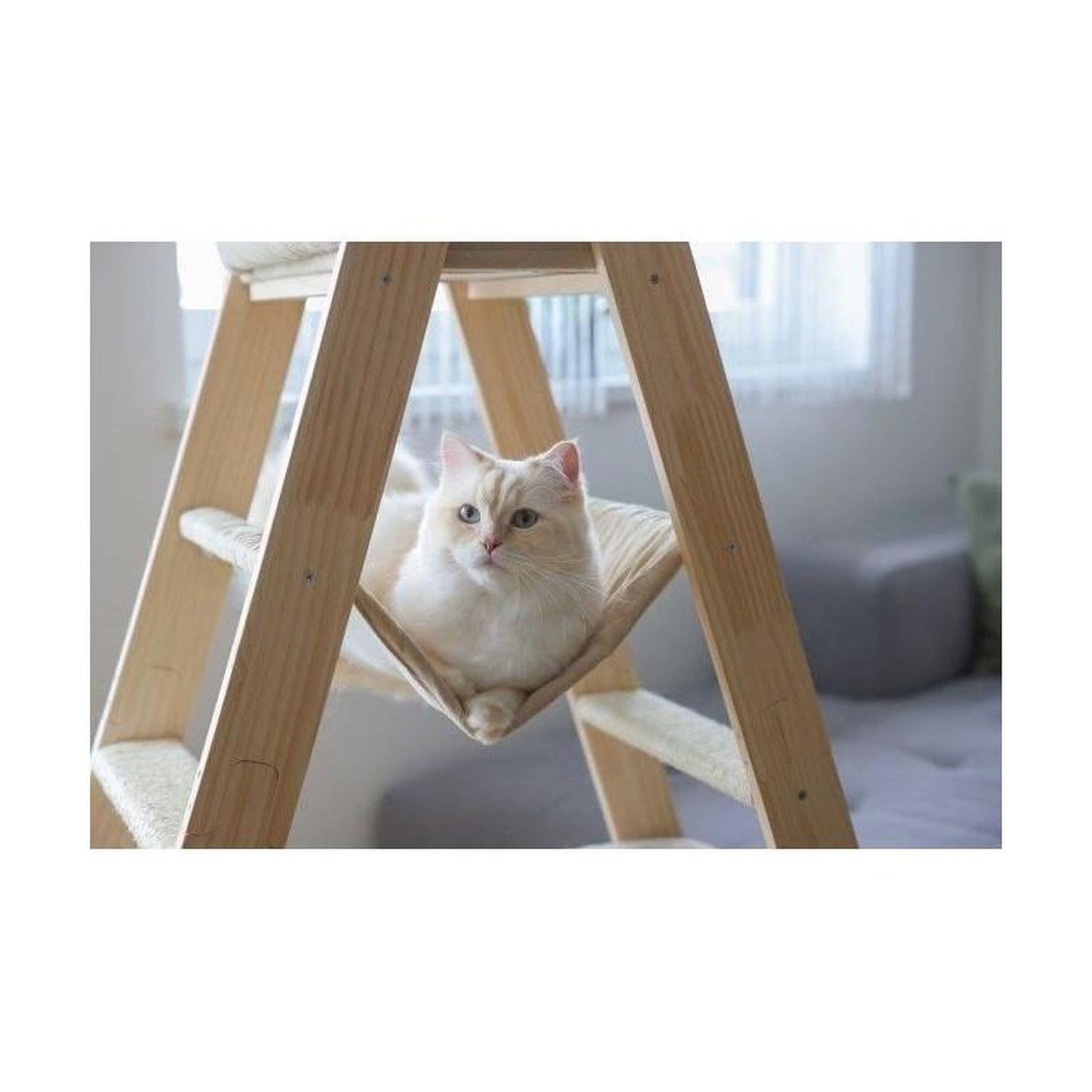 Voir la diapositive 2 : KERBL Arbre a chat 134 cm - LADDER - KERBL - Bois massif - 3 options de repos