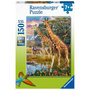 Voir la diapositive 1 : RAVENSBURGER RAVENSBURGER Colorful Savannah, 150pcs. XXL