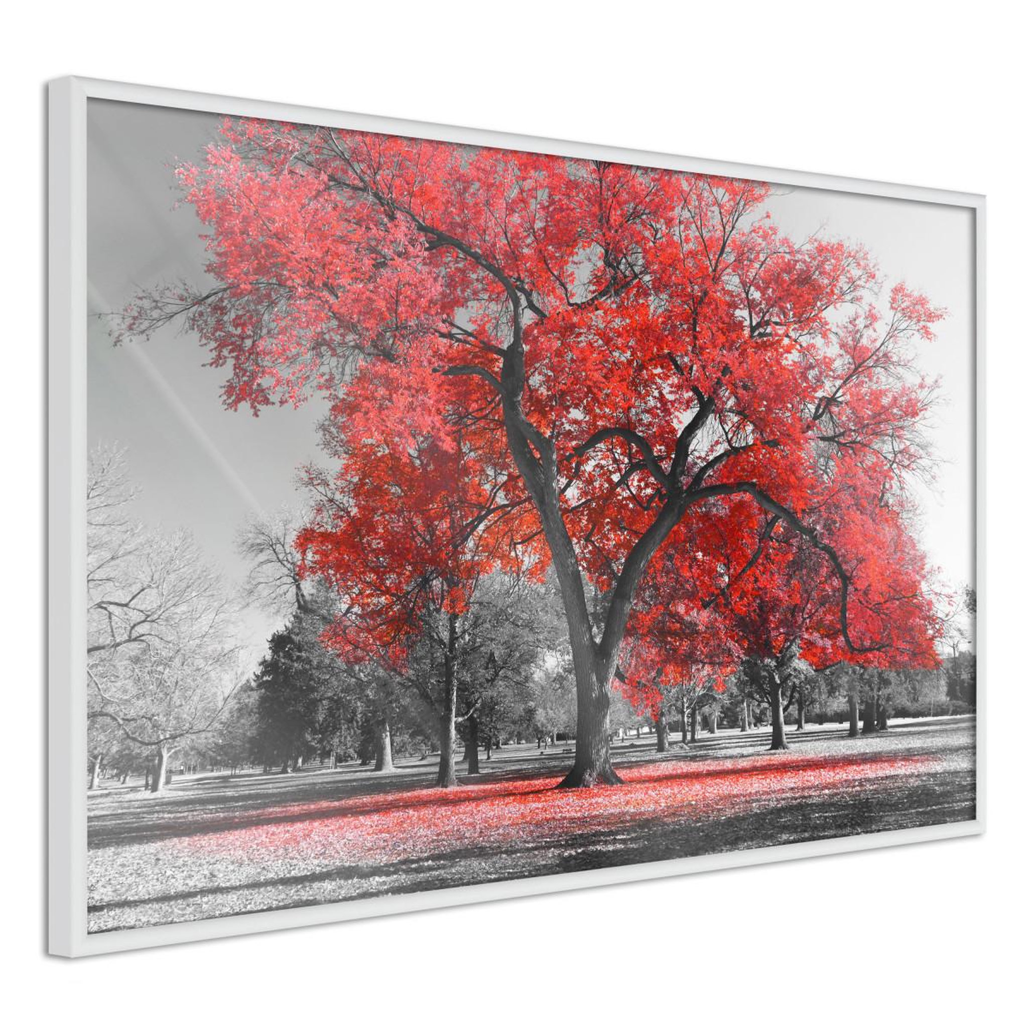 Paris Prix Affiche Murale Encadrée  Red Tree