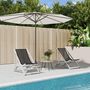 Voir la diapositive 1 : VIDAXL Chaises de plage pliantes lot de 2 gris aluminium et textilene
