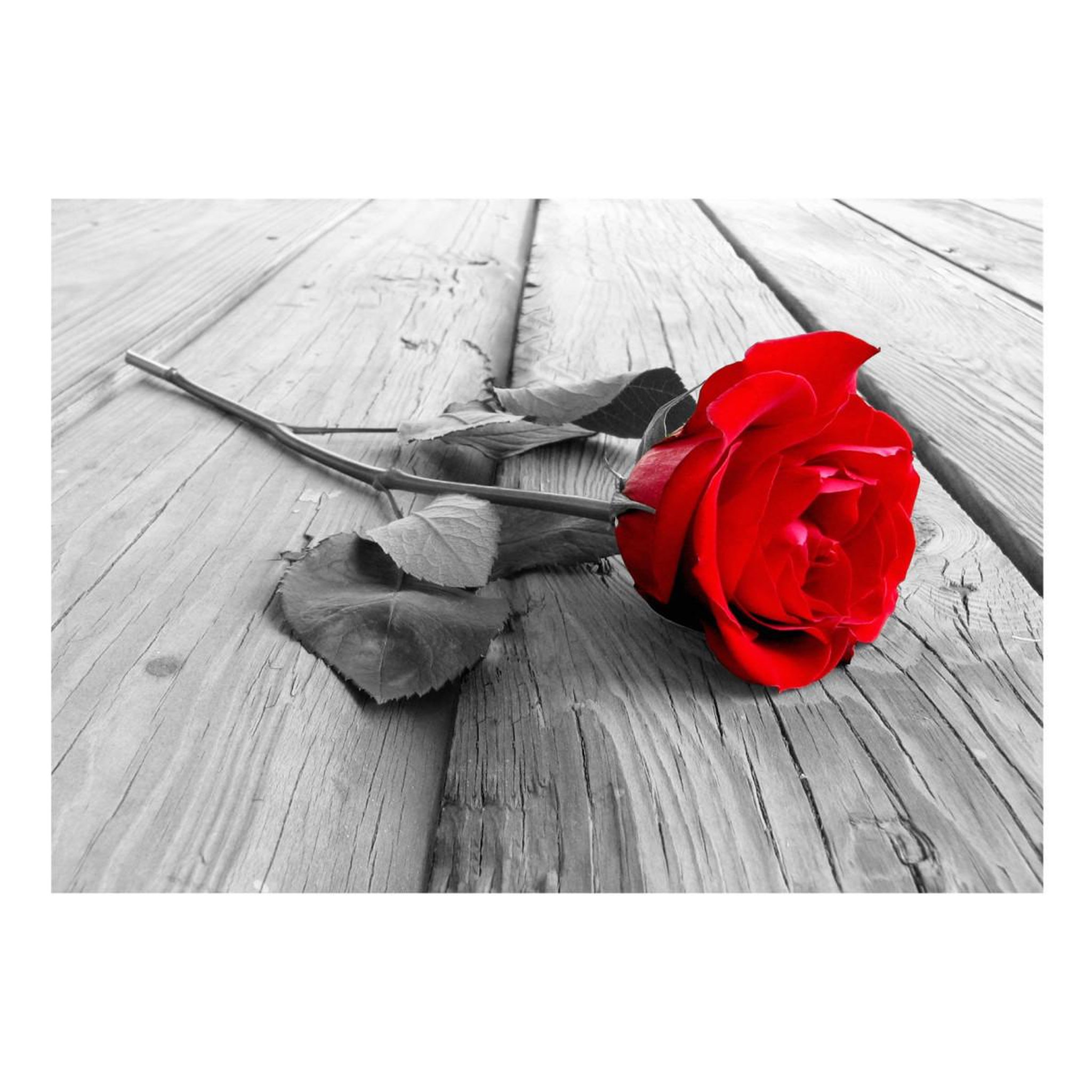 Voir la diapositive 2 : Paris Prix Papier peint  abandoned rose
