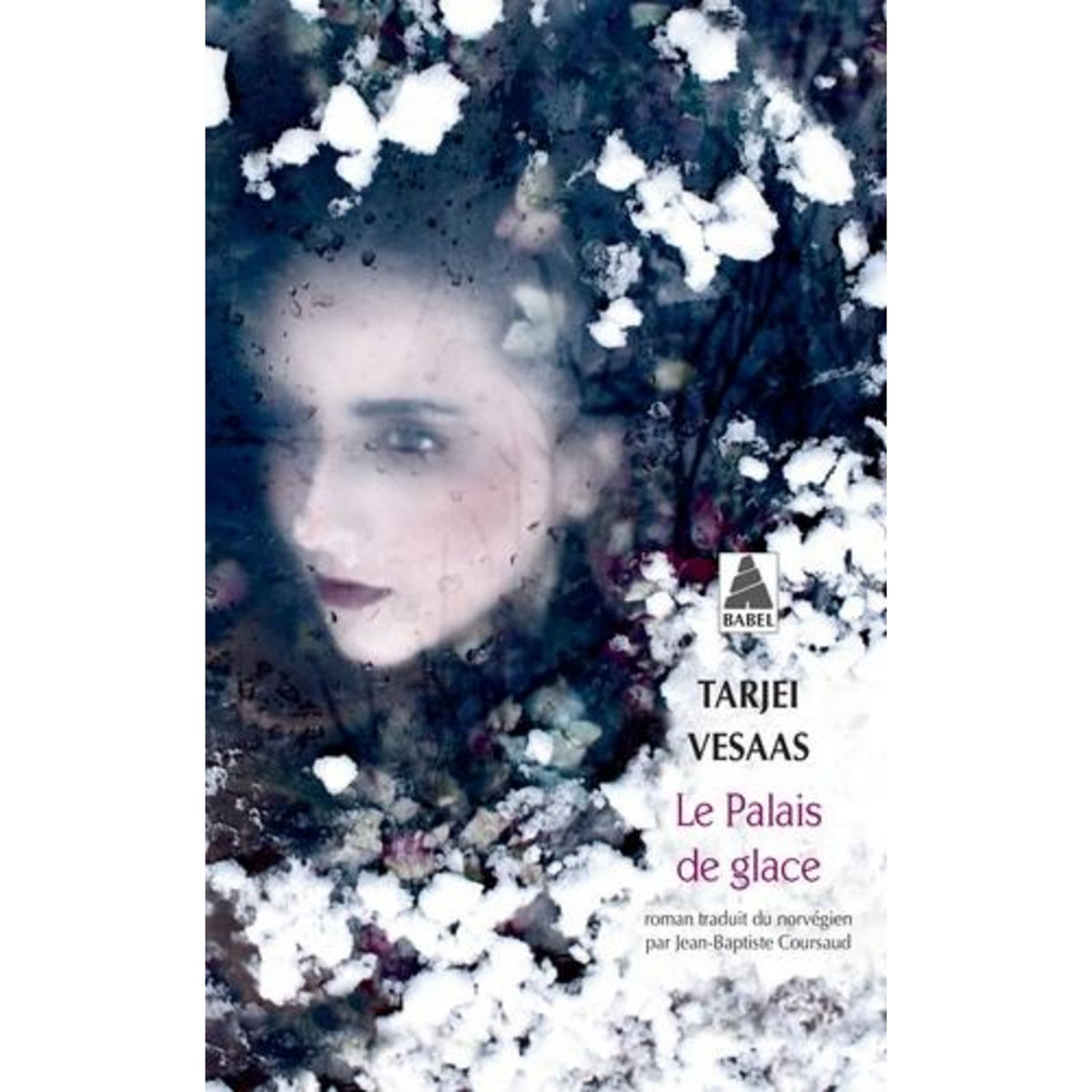 LE PALAIS DE GLACE, Vesaas Tarjei