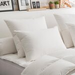 DODO Oreiller 50% Duvet ECO-RESPONSABLE FERME. Coloris disponibles : Blanc