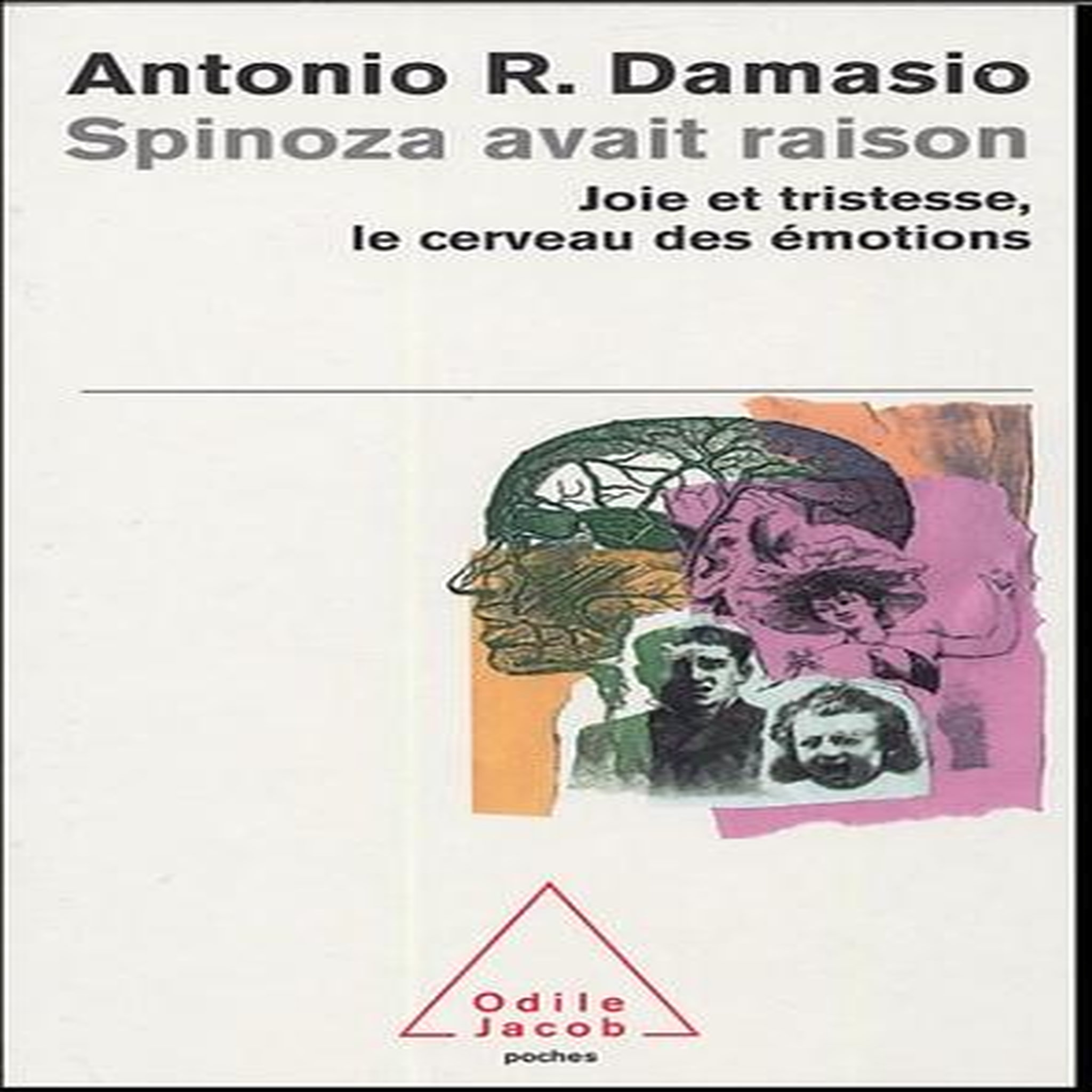 SPINOZA AVAIT RAISON. JOIE ET TRISTESSE, LE CERVEAU DES EMOTIONS, Damasio Antonio