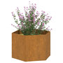 Voir la diapositive 3 : VIDAXL Jardiniere Rouille 60x60x45 cm Acier corten
