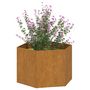 Voir la diapositive 3 : VIDAXL Jardiniere Rouille 60x60x45 cm Acier corten