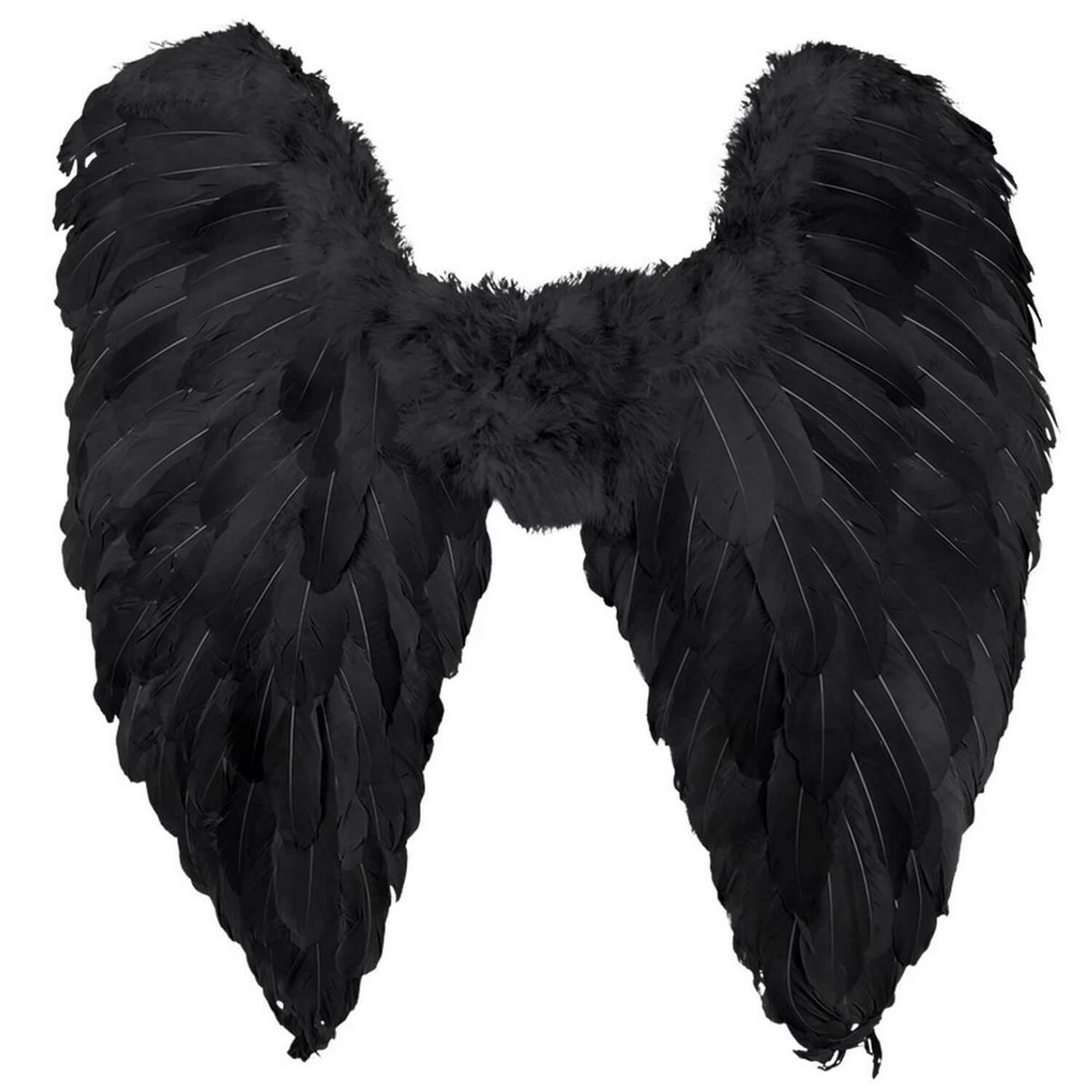 Boland Ailes d'ange noires