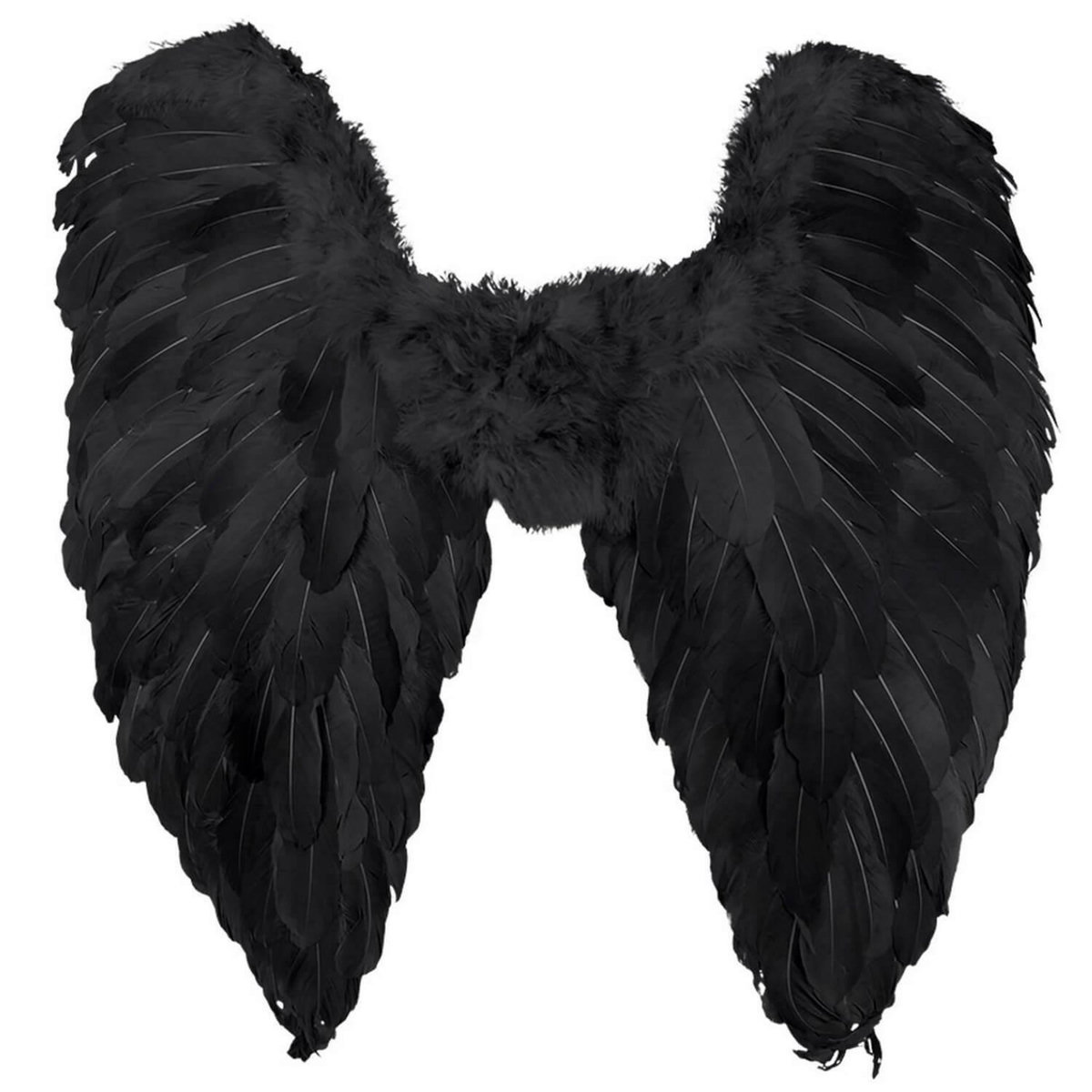 Boland Ailes d'ange noires