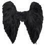 Voir la diapositive 2 : Boland Ailes d'ange noires