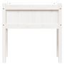 Voir la diapositive 5 : VIDAXL Jardinieres avec pieds blanc 70x31x70 cm bois de pin massif