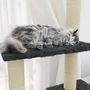 Voir la diapositive 4 : VIDAXL Arbre a chat avec griffoirs en sisal Gris fonce 155 cm