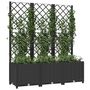 Voir la diapositive 3 : VIDAXL Jardiniere de jardin avec treillis Noir 120 x 40 x 136 cm PP