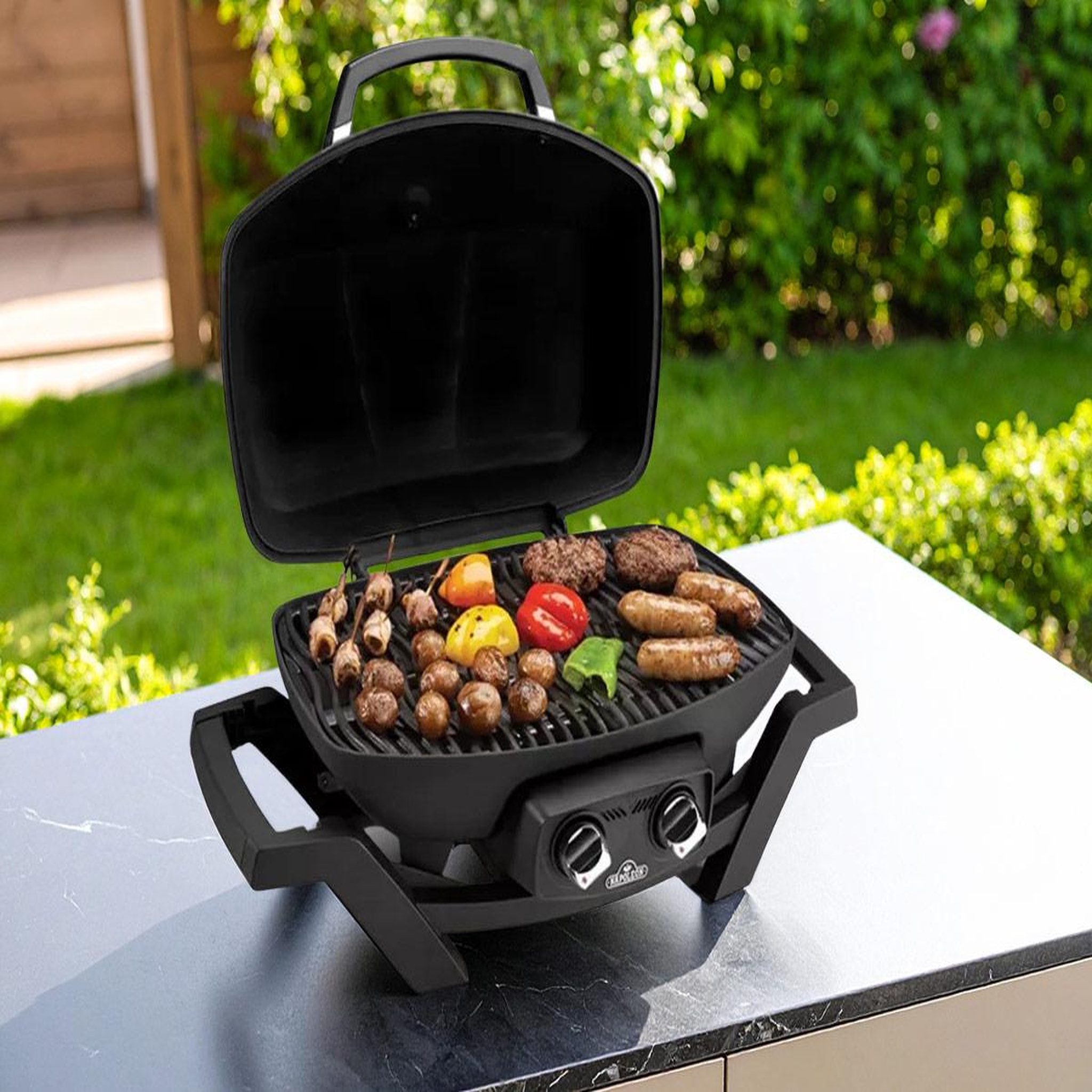 Voir la diapositive 2 : NAPOLEON Barbecue à gaz travel q pro 285 - napoleon