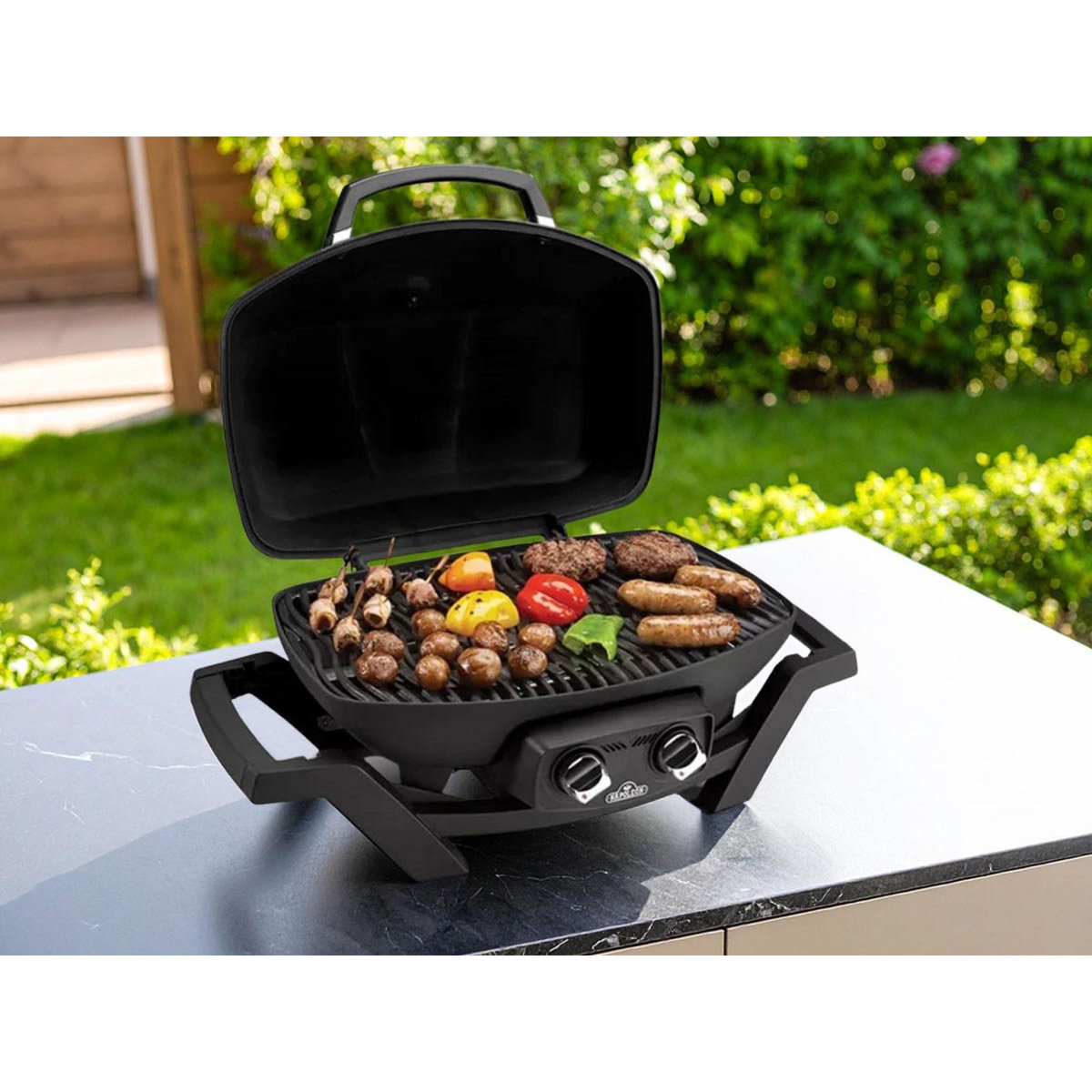 NAPOLEON Barbecue à gaz Travel Q PRO 285 - Napoleon