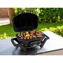 Voir la diapositive 2 : NAPOLEON Barbecue à gaz Travel Q PRO 285 - Napoleon