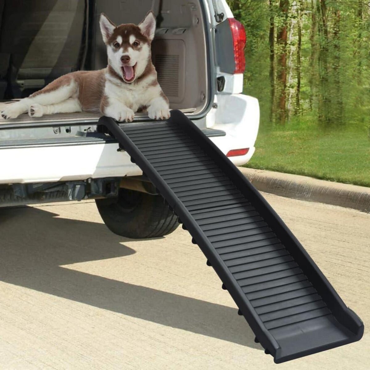 VIDAXL Rampe de voiture pliable pour chiens Noir 155,5x40x15,5 cm pas cher  