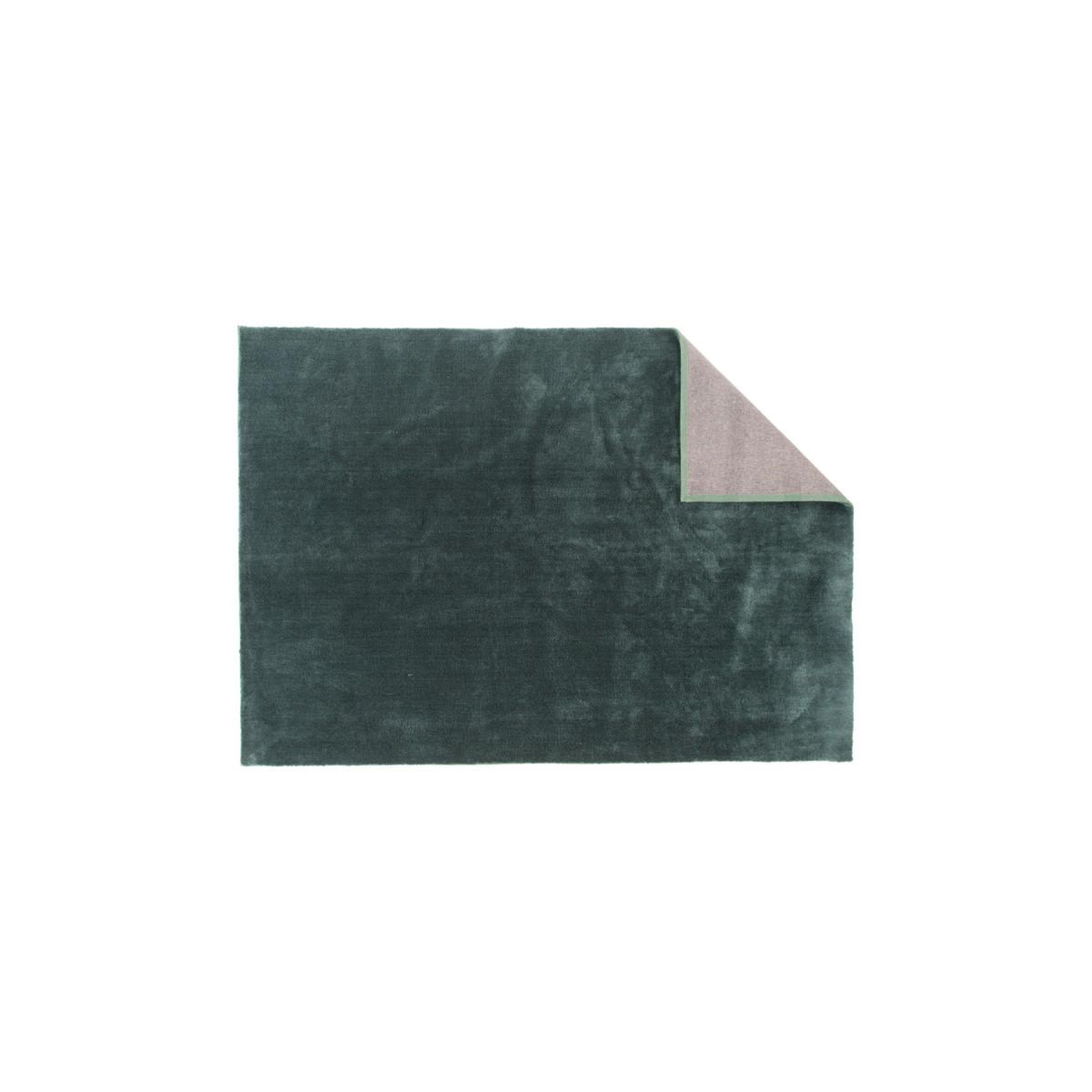 Voir la diapositive 2 : Paris Prix Tapis déco  undra  250x350cm vert