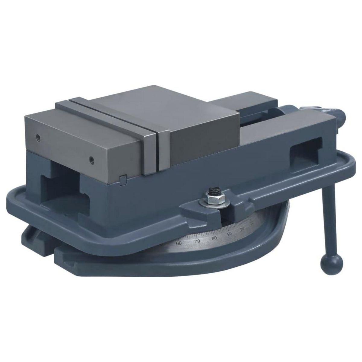 VIDAXL Etau a table tournante Fonte 160 mm