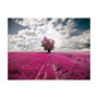 Voir la diapositive 2 : Paris Prix Papier Peint  Prairie Couleur Fuschia