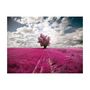 Voir la diapositive 2 : Paris Prix Papier Peint  Prairie Couleur Fuschia