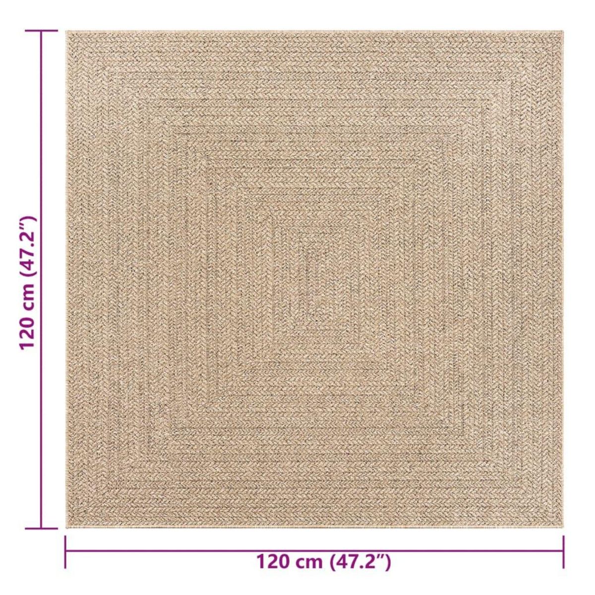 VIDAXL Tapis ZIZUR 120x120 cm aspect de jute interieur et exterieur