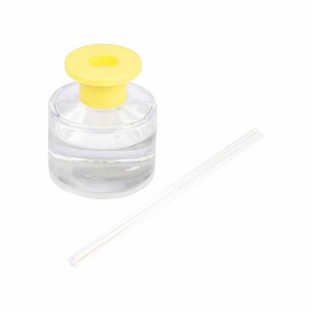 Paris Prix Diffuseur de Parfum  Tropique  100ml Ananas