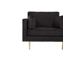 Voir la diapositive 5 : Paris Prix Fauteuil Design en Velours  Boom  110cm Noir