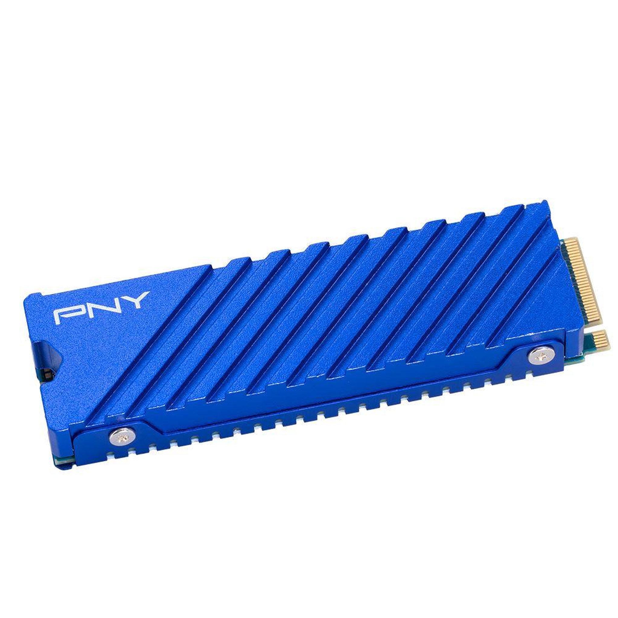 PNY Disque ssd interne m.2 gen4 pcie nvme 1 to bleu pour pc et ps5