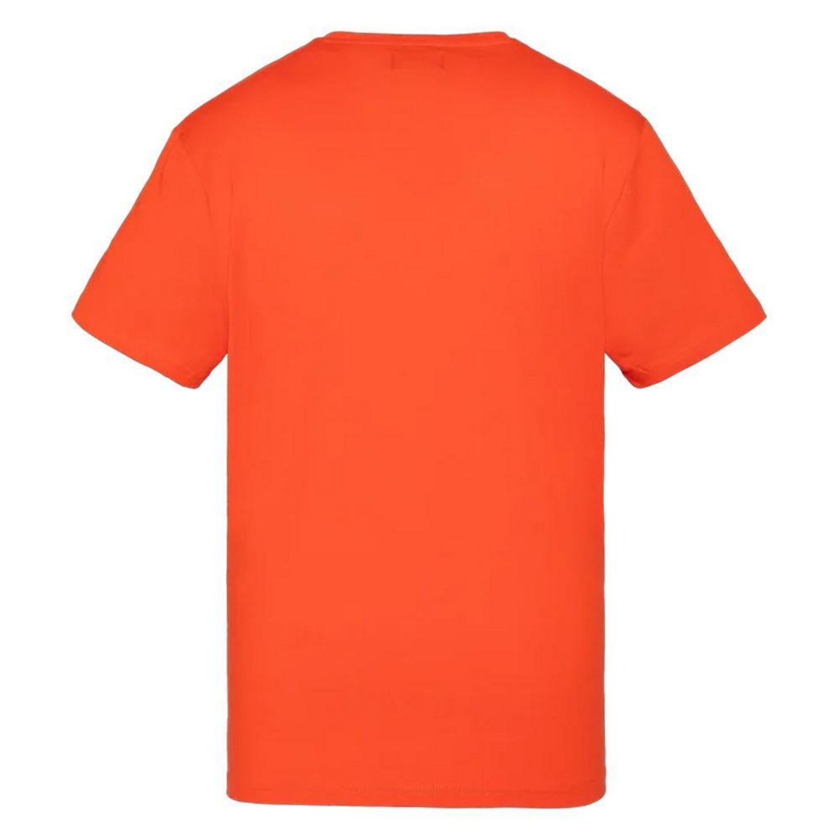 Schott T shirt  Homme Schott EMB